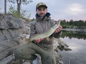 Northern Pike