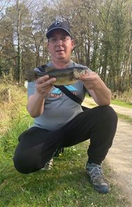 Smallmouth Bass