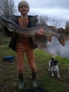 Northern Pike