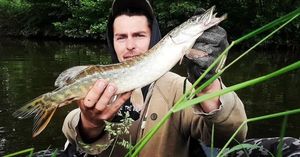 Northern Pike