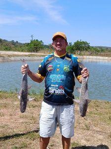 Alfonsino