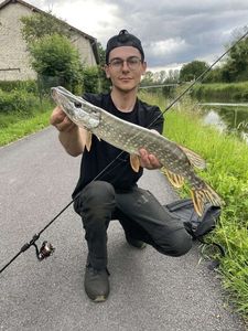 Northern Pike