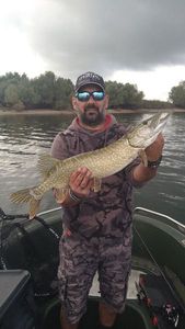 Northern Pike