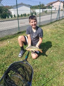Mirror Carp
