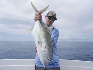 Crevalle Jack