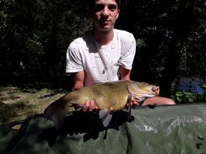 Tench
