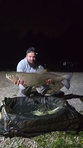 Grass Carp