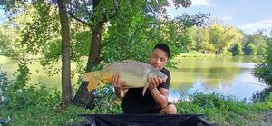 Mirror Carp