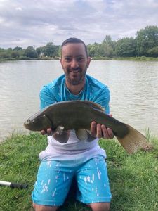 Tench