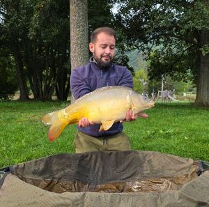 Mirror Carp