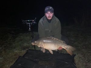 Mirror Carp