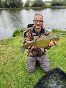 Tench