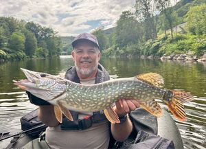 Northern Pike