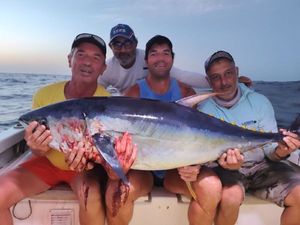 Yellowfin Tuna
