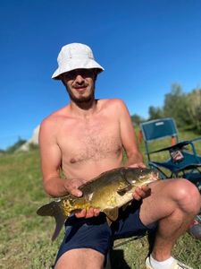 Leather Carp