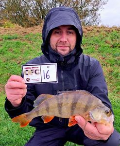 European Perch