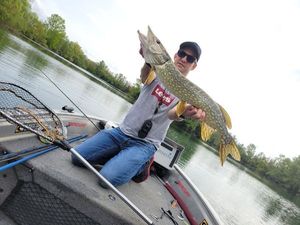 Northern Pike