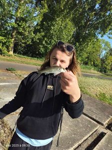 European Bass (Seabass)