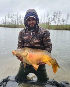 Leather Carp