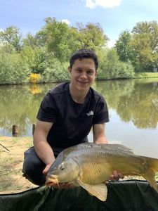 Mirror Carp