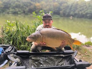 Mirror Carp