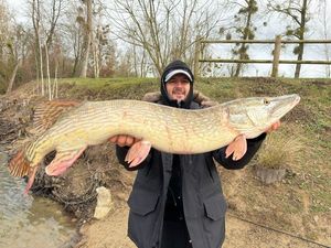 Northern Pike
