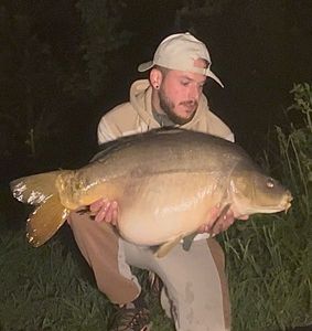 Mirror Carp