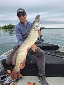 Northern Pike