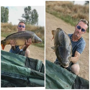 Mirror Carp