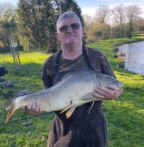 Mirror Carp