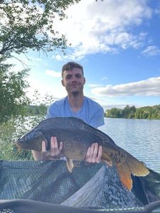 Leather Carp