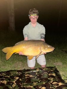 Mirror Carp