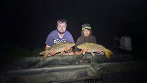 Common Carp