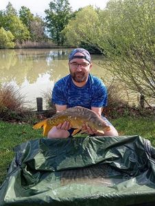 Common Carp