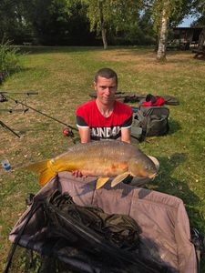 Mirror Carp