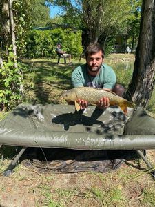 Common Carp