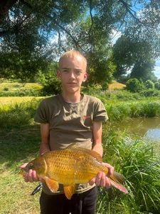 Common Carp