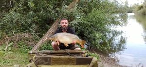 Common Carp
