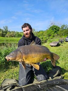 Mirror Carp