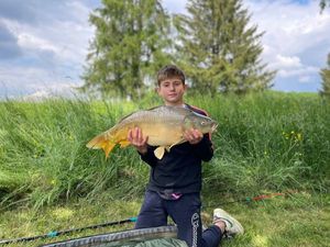 Mirror Carp