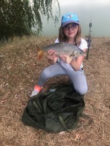 Common Carp