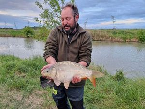 Mirror Carp