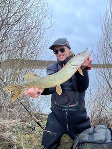 Northern Pike