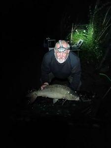 Mirror Carp