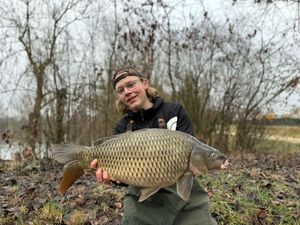 Common Carp