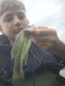 Smallmouth Bass