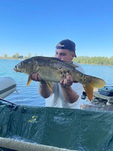 Mirror Carp