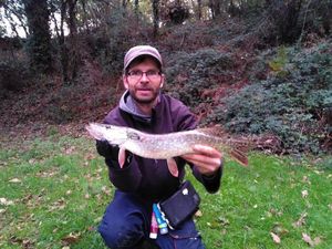Northern Pike