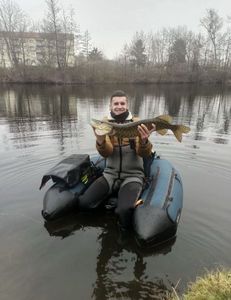 Northern Pike