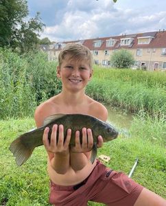 Tench